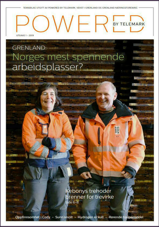 GRENLAND: Norges mest spennende arbeidsplasser